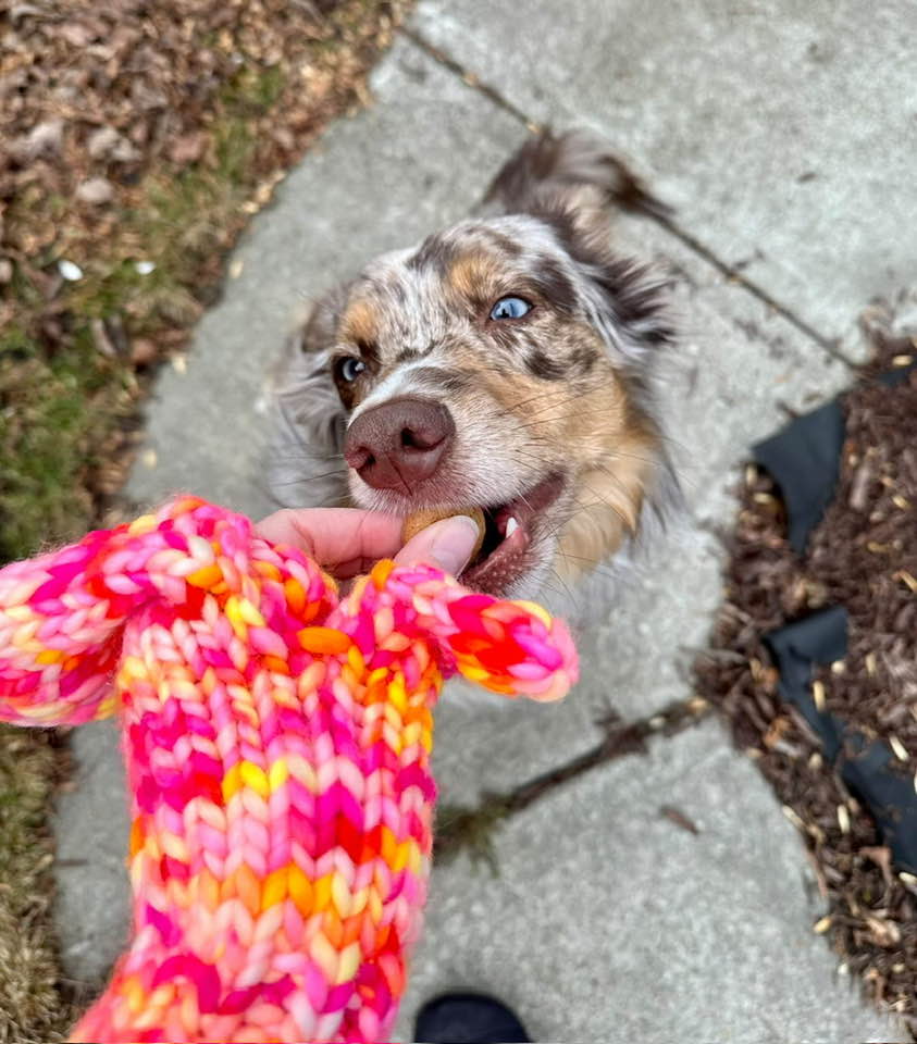 Flapjack Mitts Knit Pattern